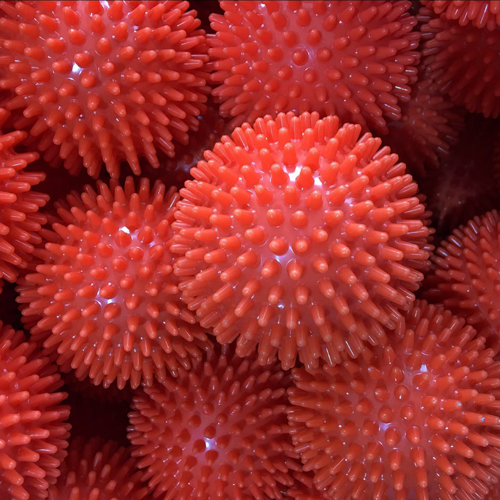 Spiky massage ball